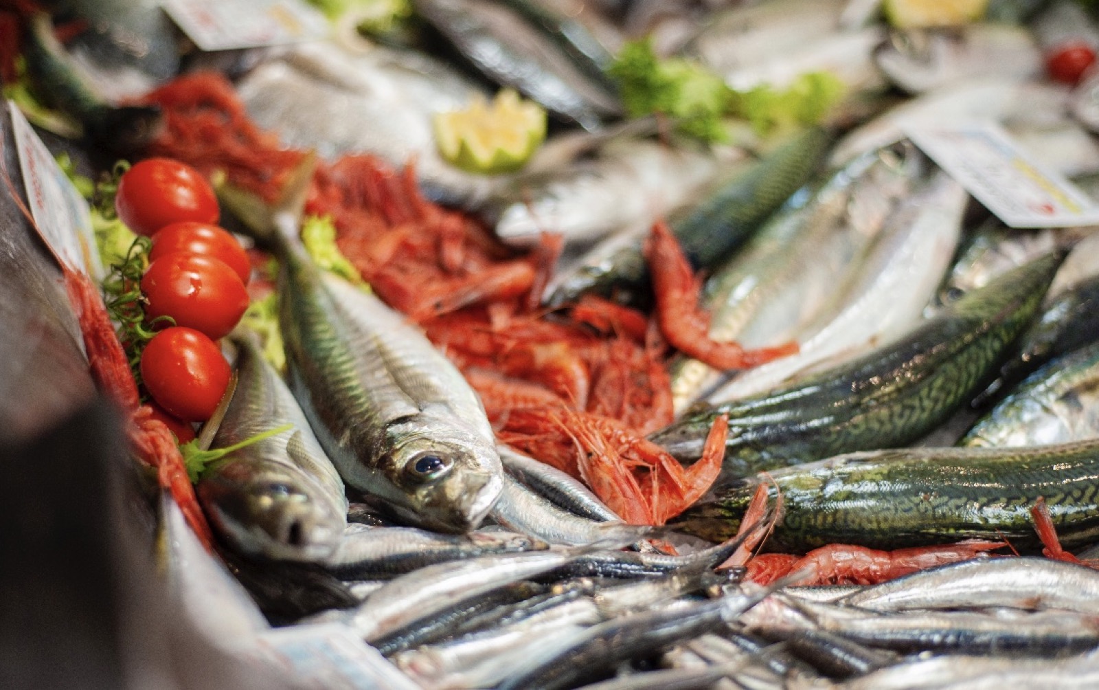 Il banco del pesce fresco: sarde, sgombri e gamberi rossi sul ghiaccio